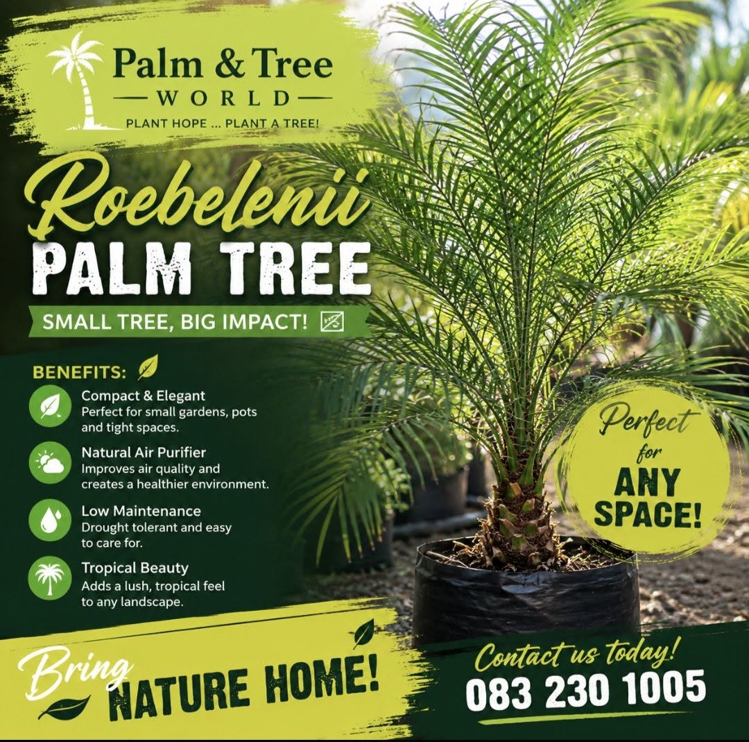 Palm & Tree World