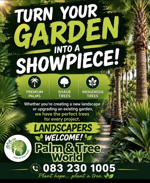 Palm & Tree World